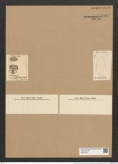 Entopyla pulchella (An.) Grun. (de-Toni-Nr.: Genus 101, Species 3104) Zeichnungen Sammlung Grunow Nr. 6337 (NHMW-BOT-W0374977)